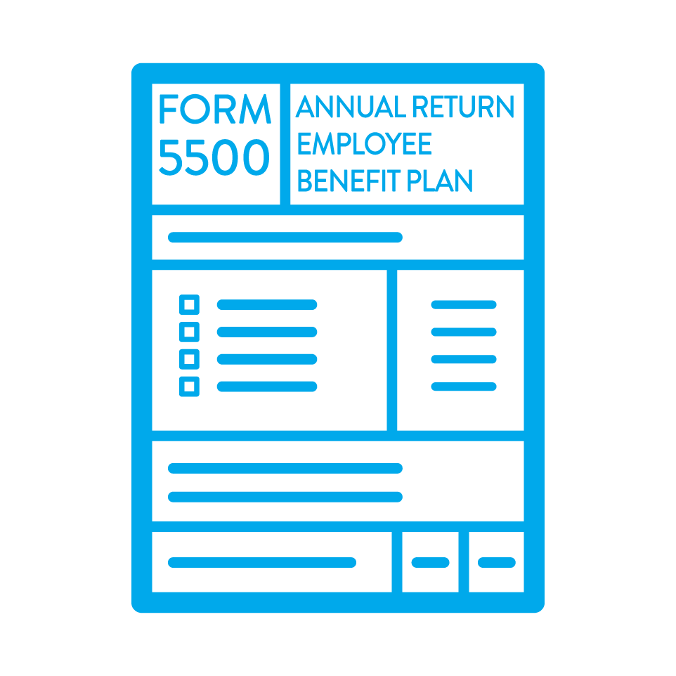 5500 Prep and Filing Audit Support Icon